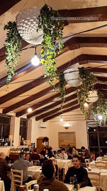 Cerrosughero Farm stay *